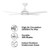 Cairns 48 DC Ceiling Fan - White-3