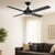 Cairns 52 DC Ceiling Fan - Black-1