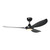 Kurrawa 60-Inch IP55 DC Ceiling Fan with LED and Remote - Black-1