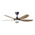 Miami 48-Inch DC Ceiling Fan with LED and Remote - Black & Teak-1