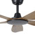 Miami 48-Inch DC Ceiling Fan with Remote - Black & Teak-3