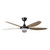 Miami 52-Inch DC Ceiling Fan with LED and Remote - Black & Teak