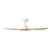 Tahiti 52-Inch IP66 White-Blackbutt DC Ceiling Fan-2