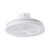 Vallonia 19-Inch White DC Ceiling Fan with RGB LED