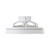 Vallonia 19-Inch White DC Ceiling Fan with RGB LED-4