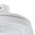 Vallonia 19-Inch White DC Ceiling Fan with RGB LED-5