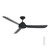 Brooke 50-Inch DC Ceiling Fan with Remote - Black
