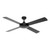 Caprice 52-Inch Plywood Blades AC Ceiling Fan - Black