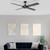 Tempest 52-Inch Plywood AC Ceiling Fan - Black-1