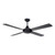 Tempo Plus 52-Inch AC Ceiling Fan - Black