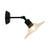 Araceli Clear Pleated Glass Black Base Wall Light