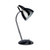 Axminster Brushed Chrome Gooseneck Desk Lamp