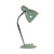 Axminster Sage Green Gooseneck Desk Lamp
