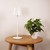 Sidmouth Rechargeable Minimalist LED Table Lamp - White-1