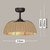 Harlow 14-Inch DC Ceiling Fan with Light - Black-2