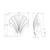 Thasos Clear Glass Shell Wall Light - Brass-8