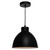 Dexter Metal Dome Pendant Light - Black