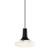 Dee 2.0 Oval Glass Pendant Light - Black