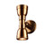 Baltimore Up/Down Antique Brass Outdoor Light