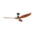 Noosa 60" DC ABS Ceiling Fan with LED Light - Teak and Black 