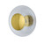 Horizon Clear Glass with Gold Ceiling/Wall Light