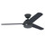 Carera 52" Graphite with Graphite/Chestnut Blades Ceiling Fan