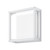 York White LED Square Wall Light.jpg