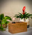 Techbox Table Lamp-7