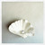 Beach Shells Pearl White Openface Wall Sconce-2
