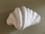 Beach Shells Pearl White Wall Sconce-4