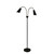 Walter Black and Brass Flexible Neck Twin Floor Lamp Walter Black and Brass Flexible Neck Twin Floor Lamp