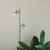 Dora Twin Light Adjustable Brushed Chrome Floor Lamp-1