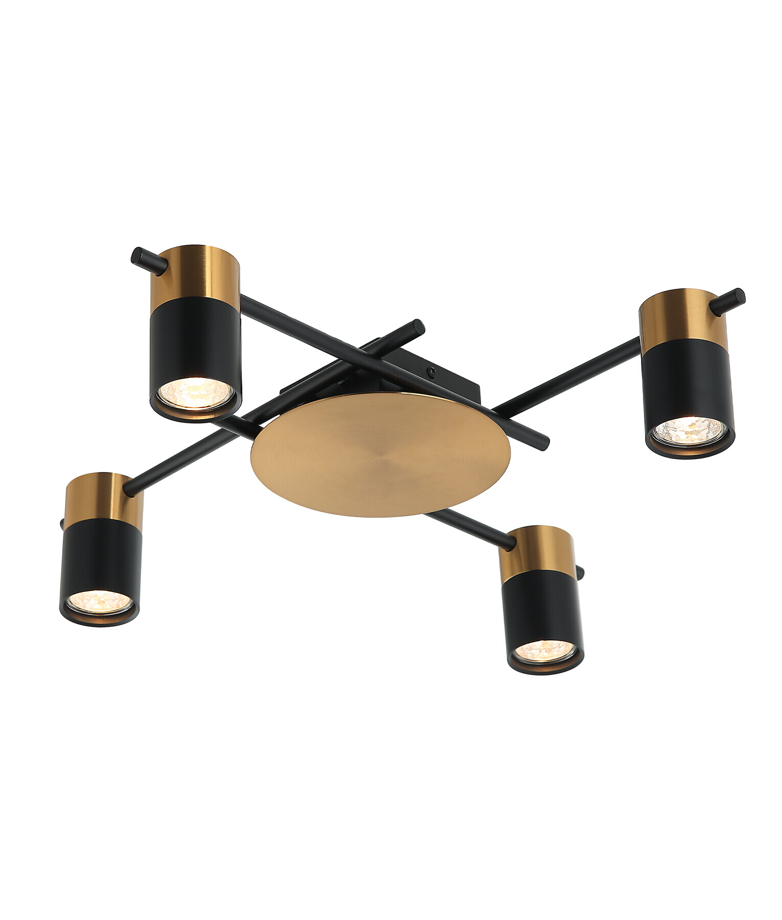 Stacy Adjustable 4 Light Brass and Black Ceiling Light