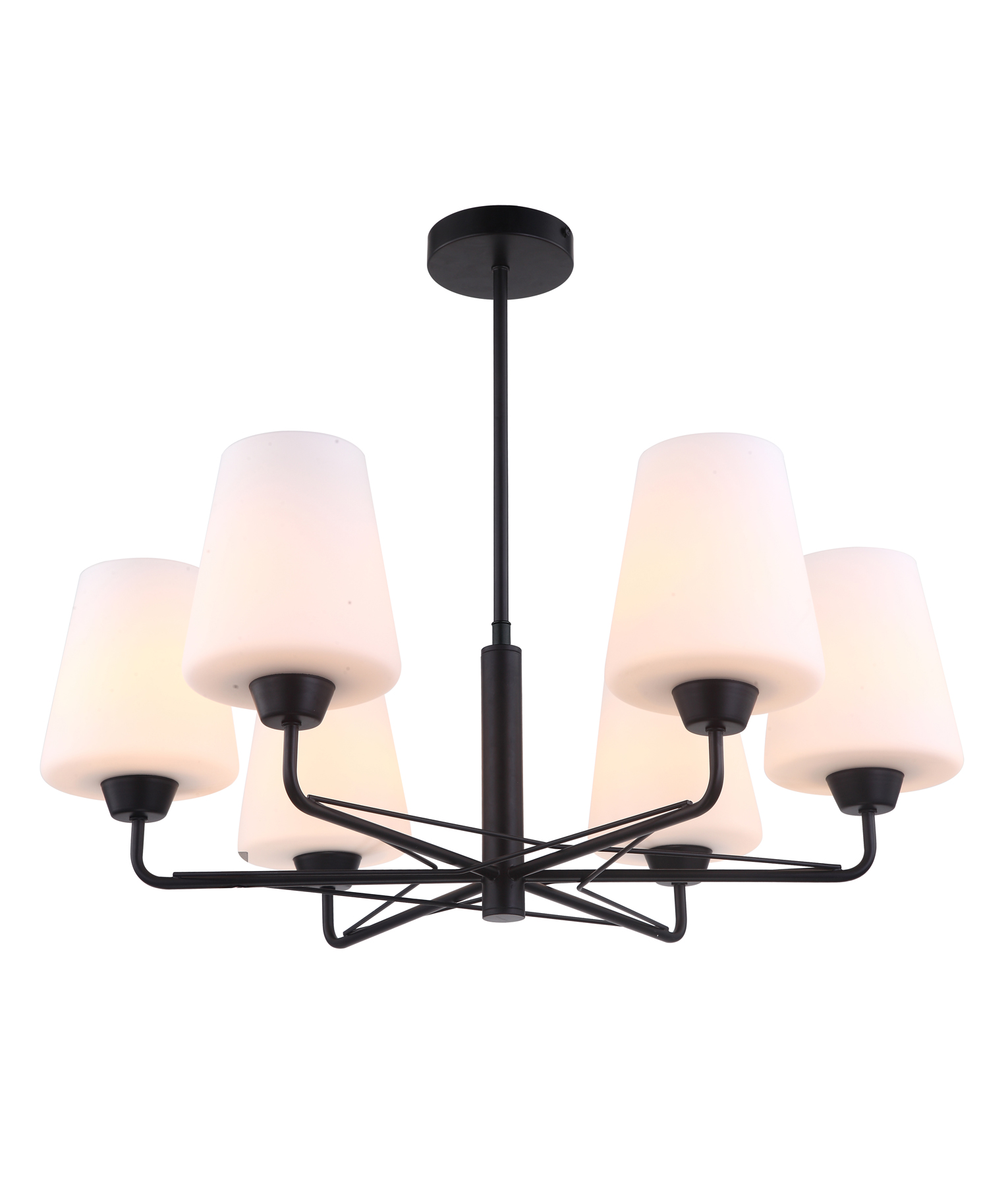 Asuncion Matt Black Branching Glass Pendant