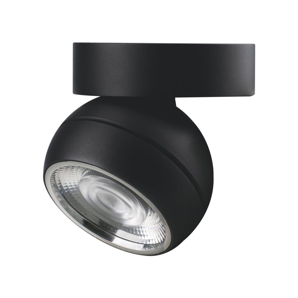 Moon Black Modern Mounted Flood Ceiling Light