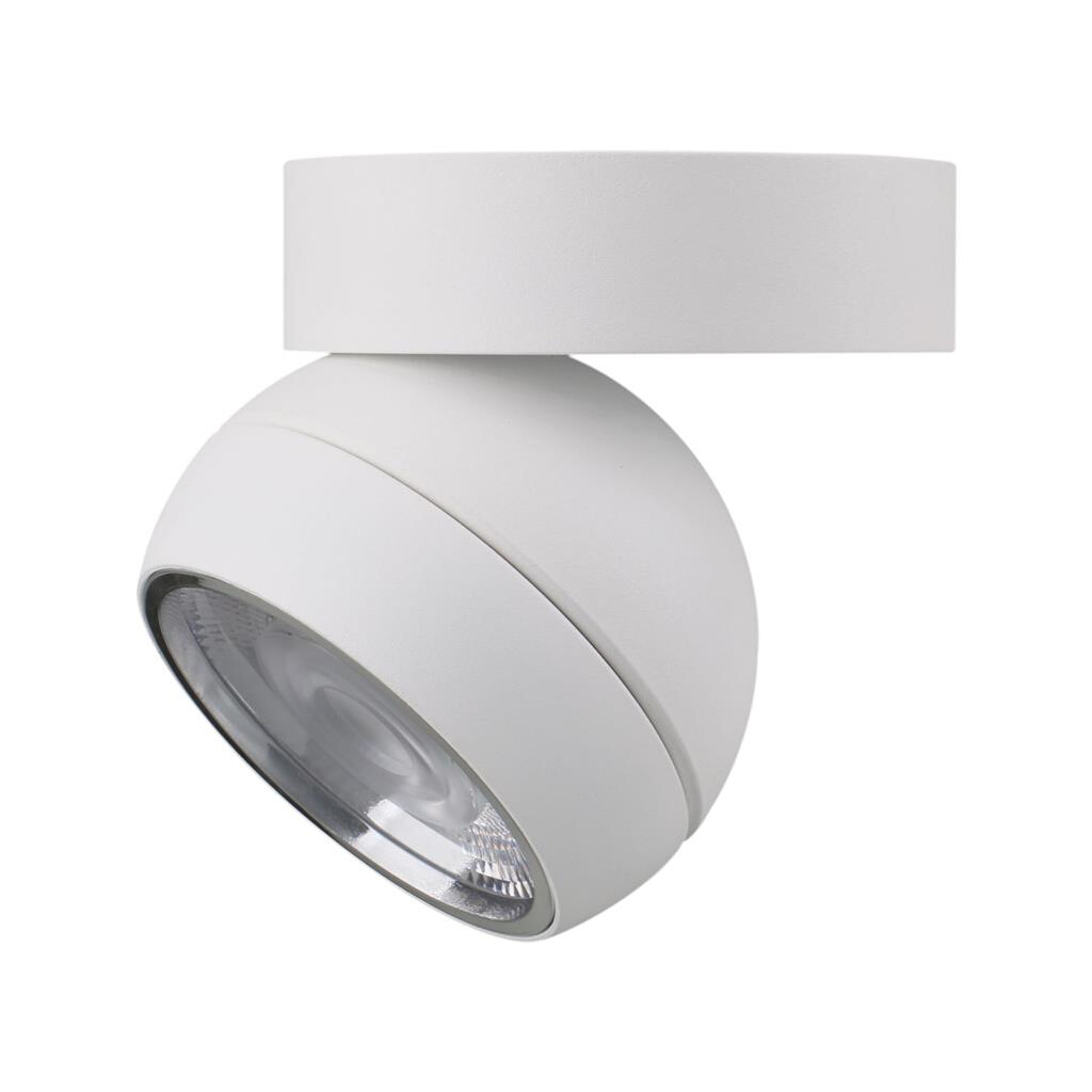 Moon White Modern Mounted Flood Ceiling Light