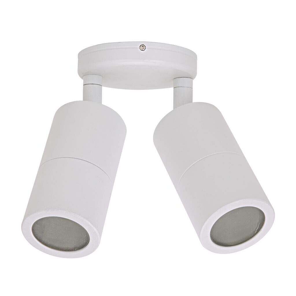 Shadow White Adjustable Exterior Twin Wall Light