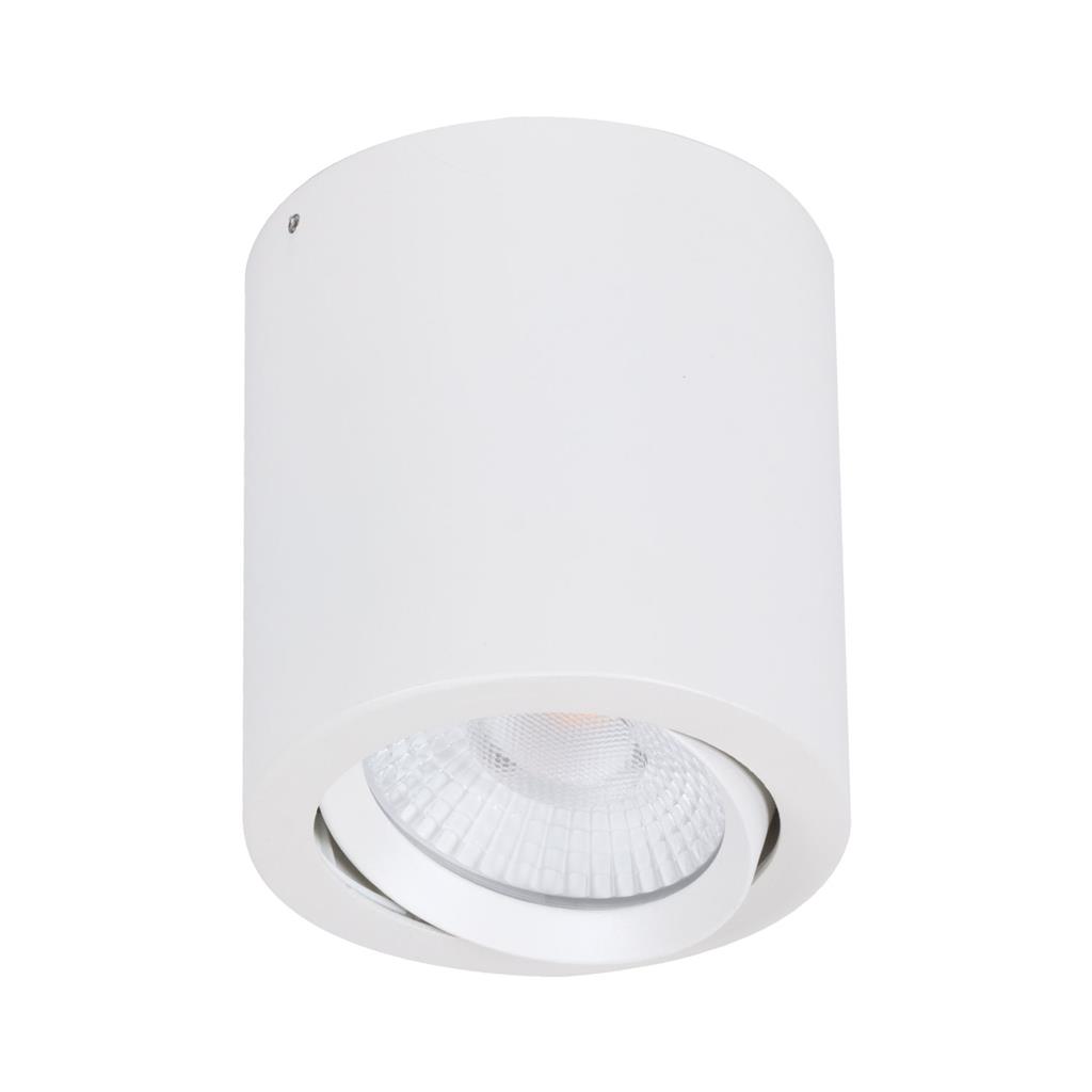 Neo 20W Surface Mounted Tiltable Downlight - White
