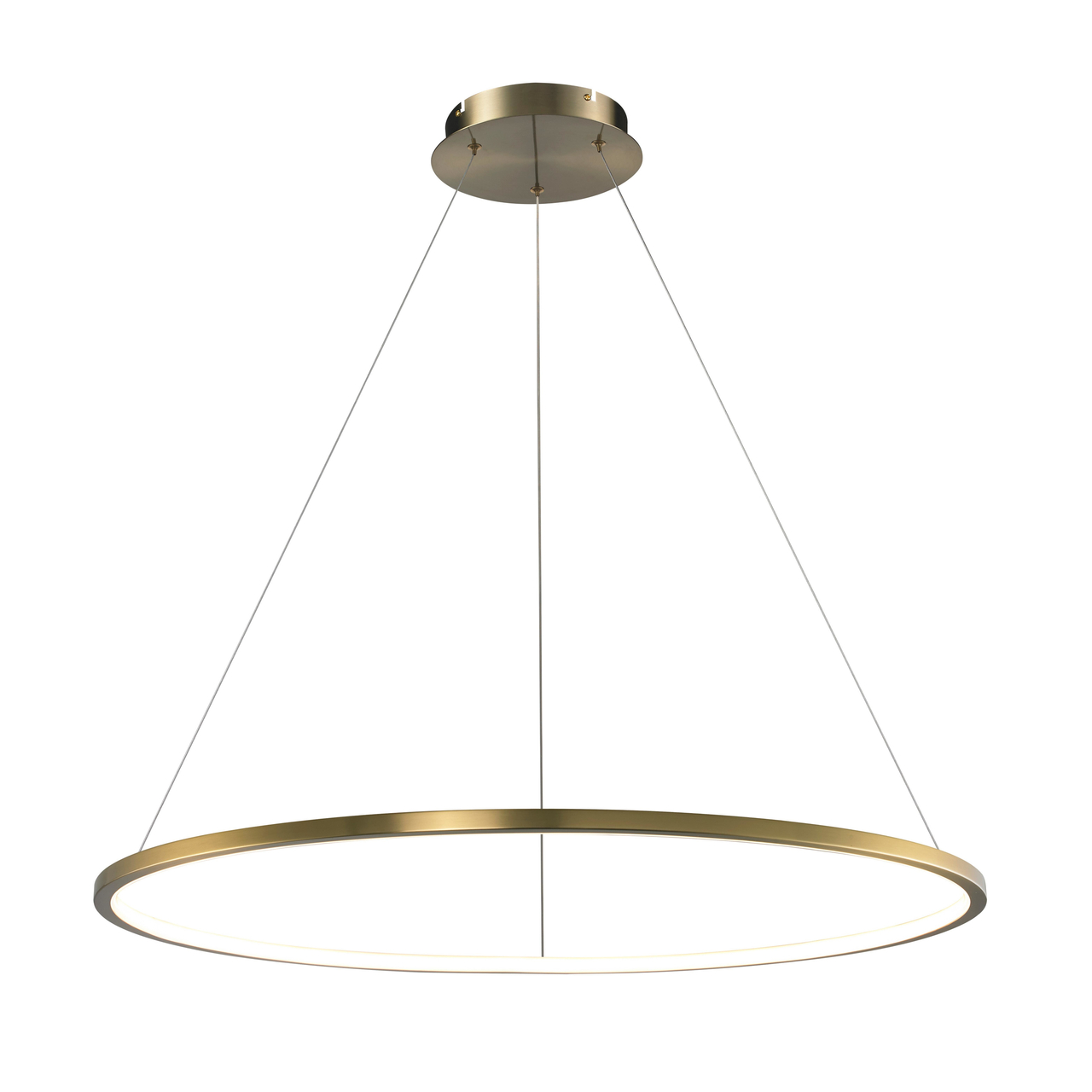Brass Ring Core LED Pendant Light