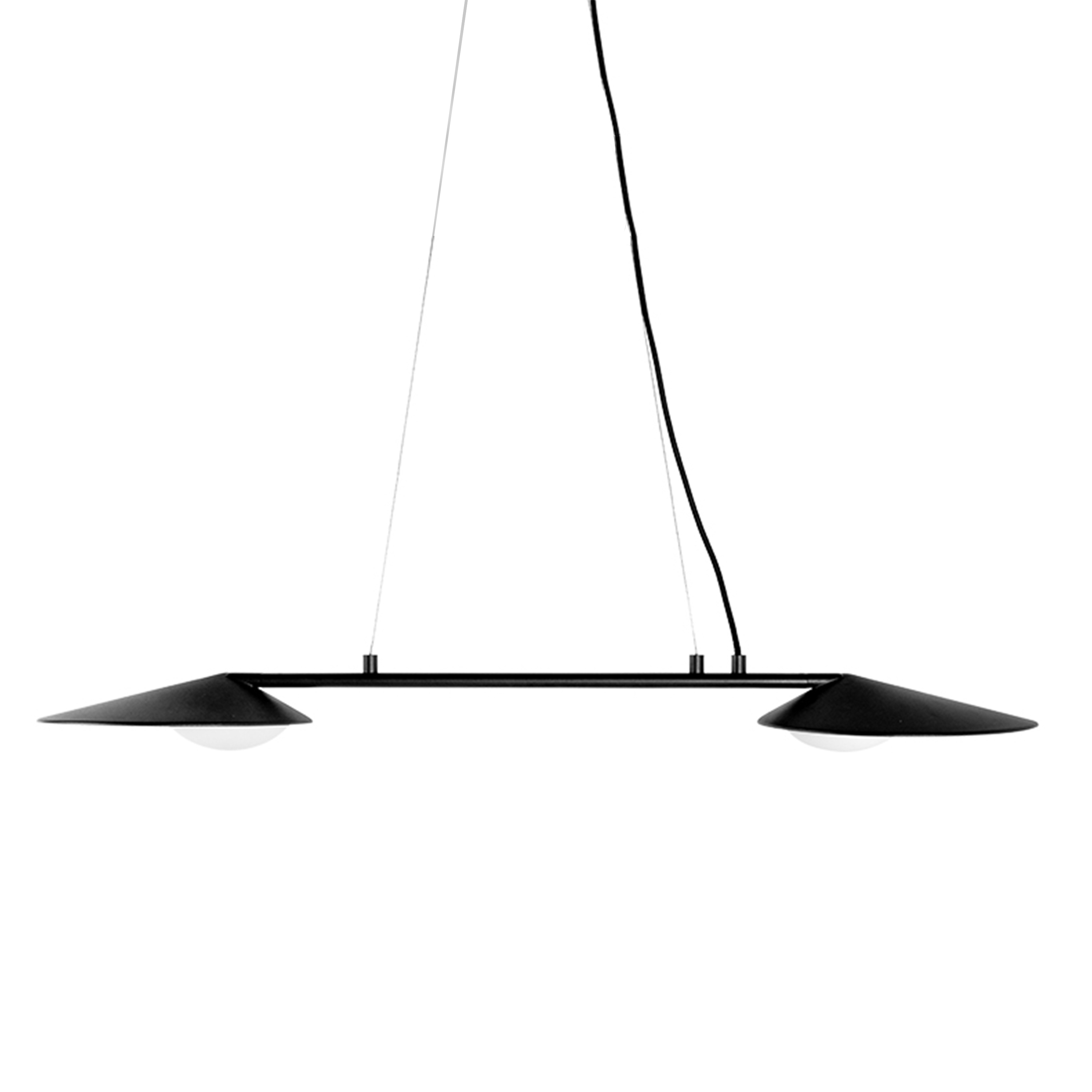 Palm Black with Gold Twin LED Pendant Light