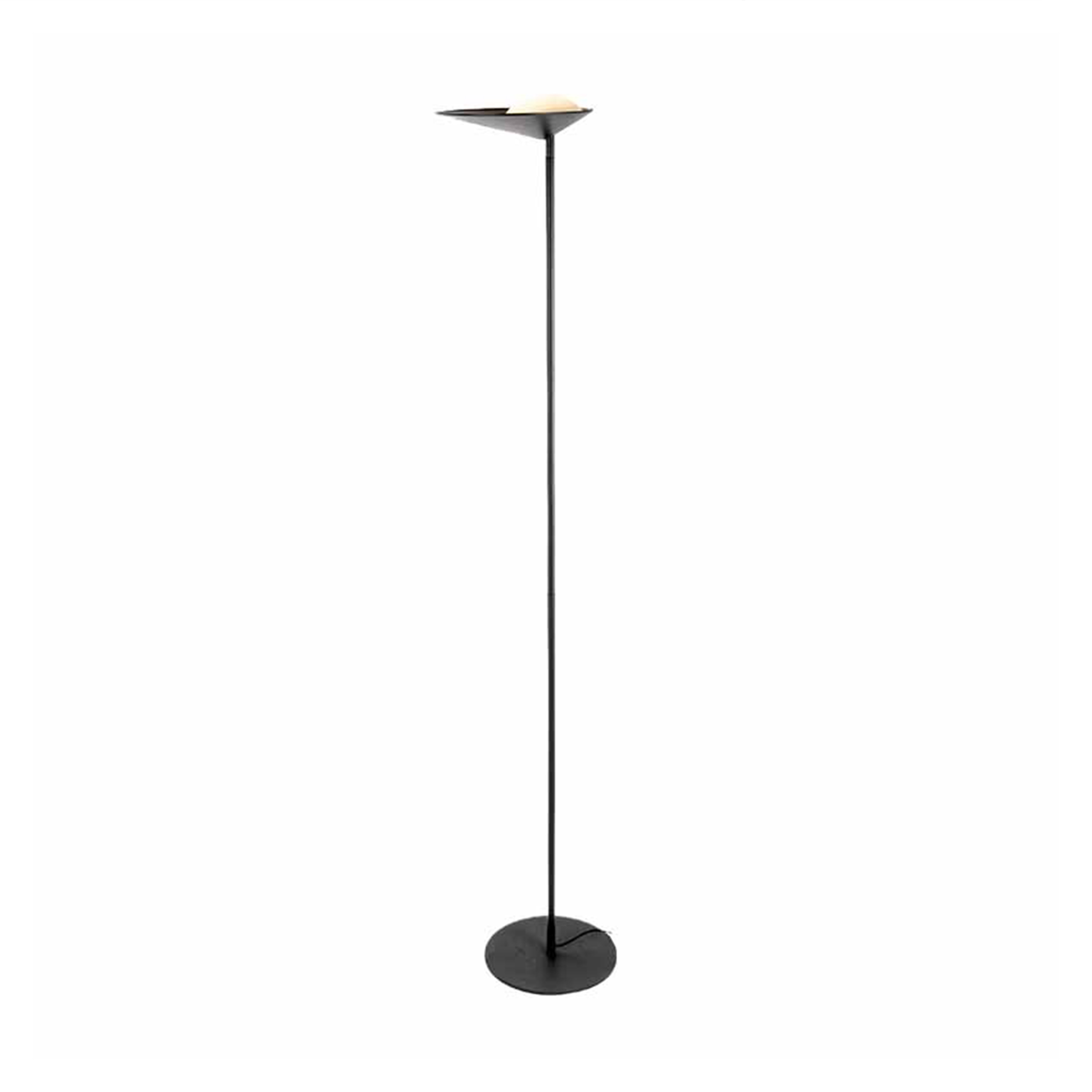Palm Black with Gold Uplight LED Floor Lamp