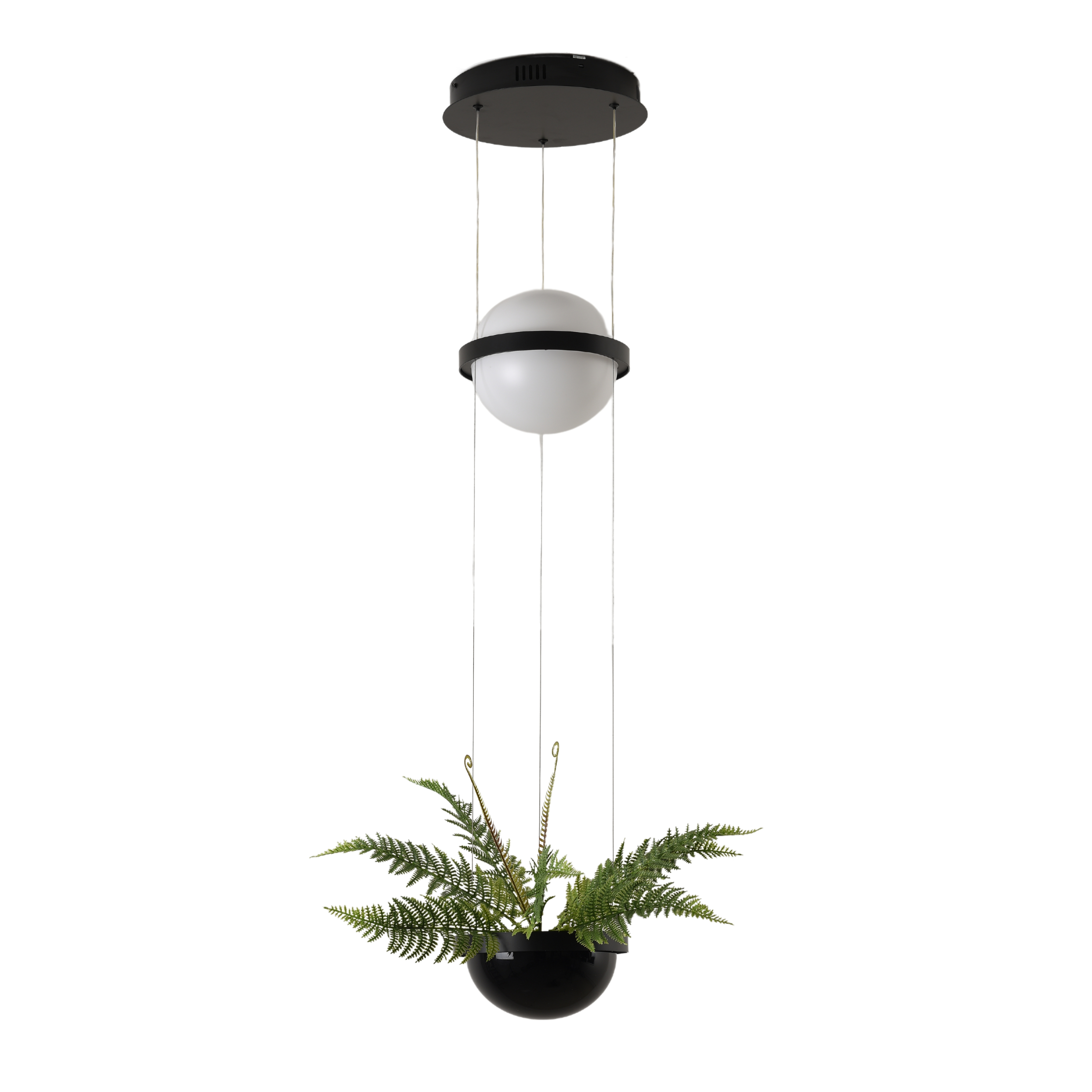 Garden Black Single Globe with Planter Pendant Light