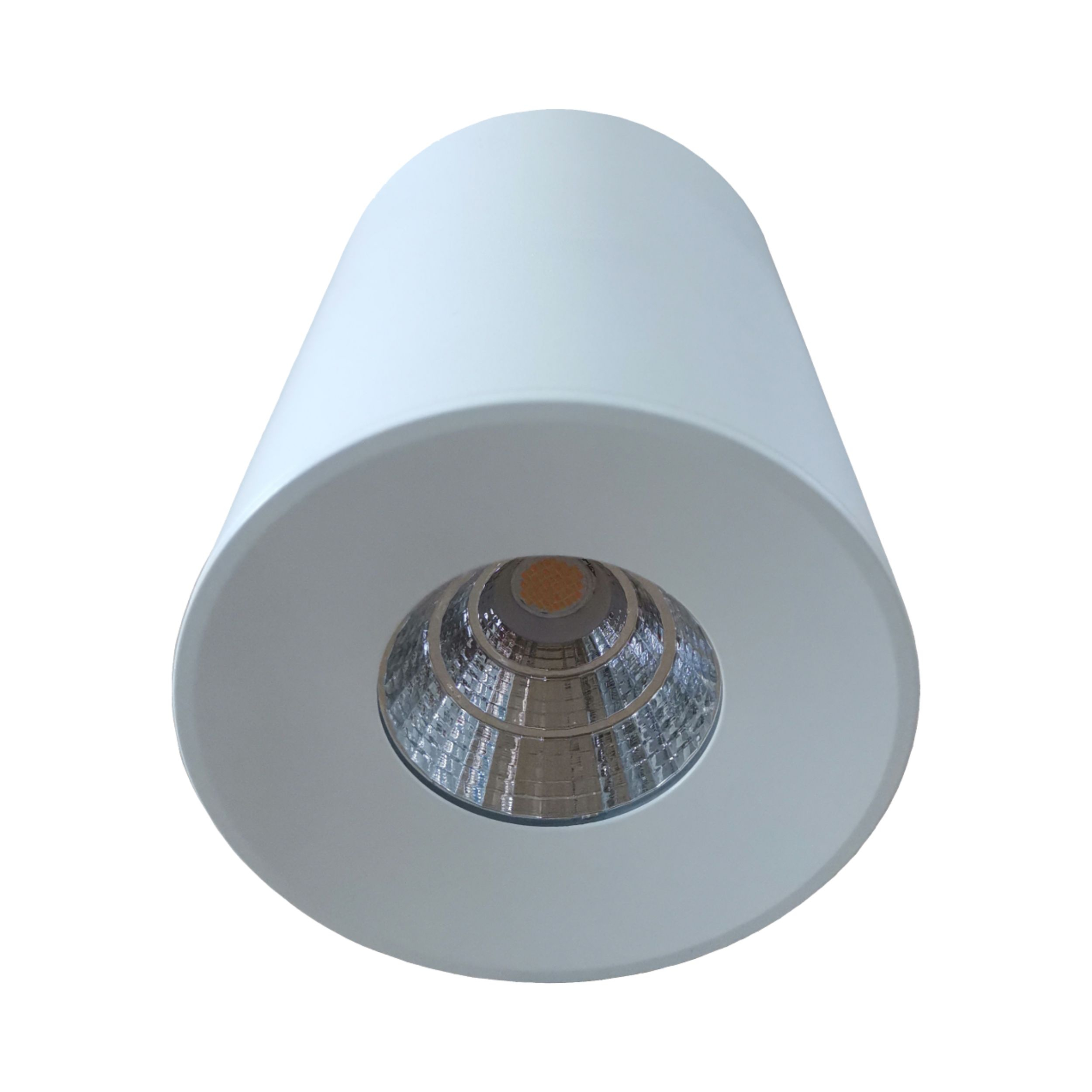 Dimmable 14W Citizen Surface Mounted Downlight