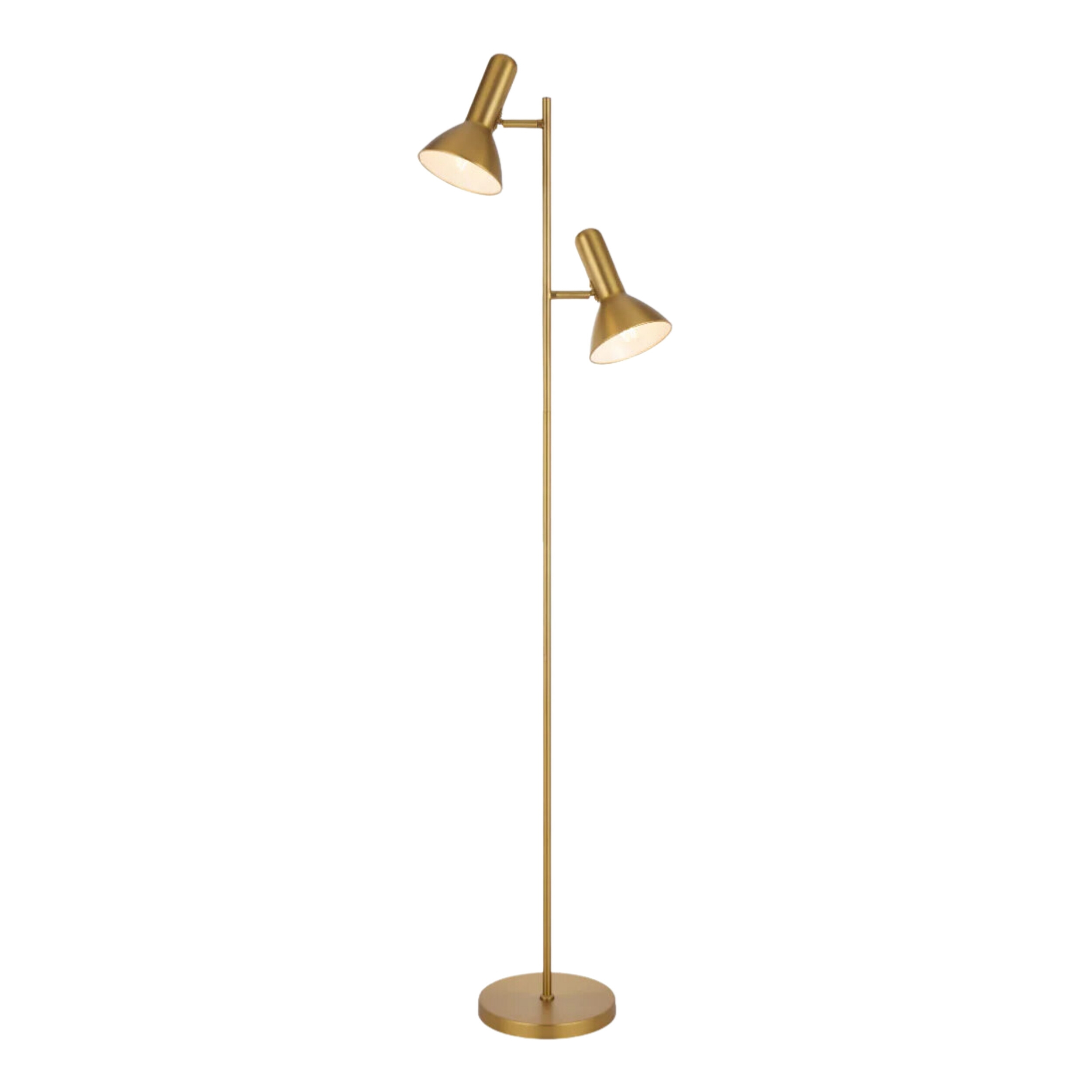 Hyvik Matt Brass Twin Lights Floor Lamp