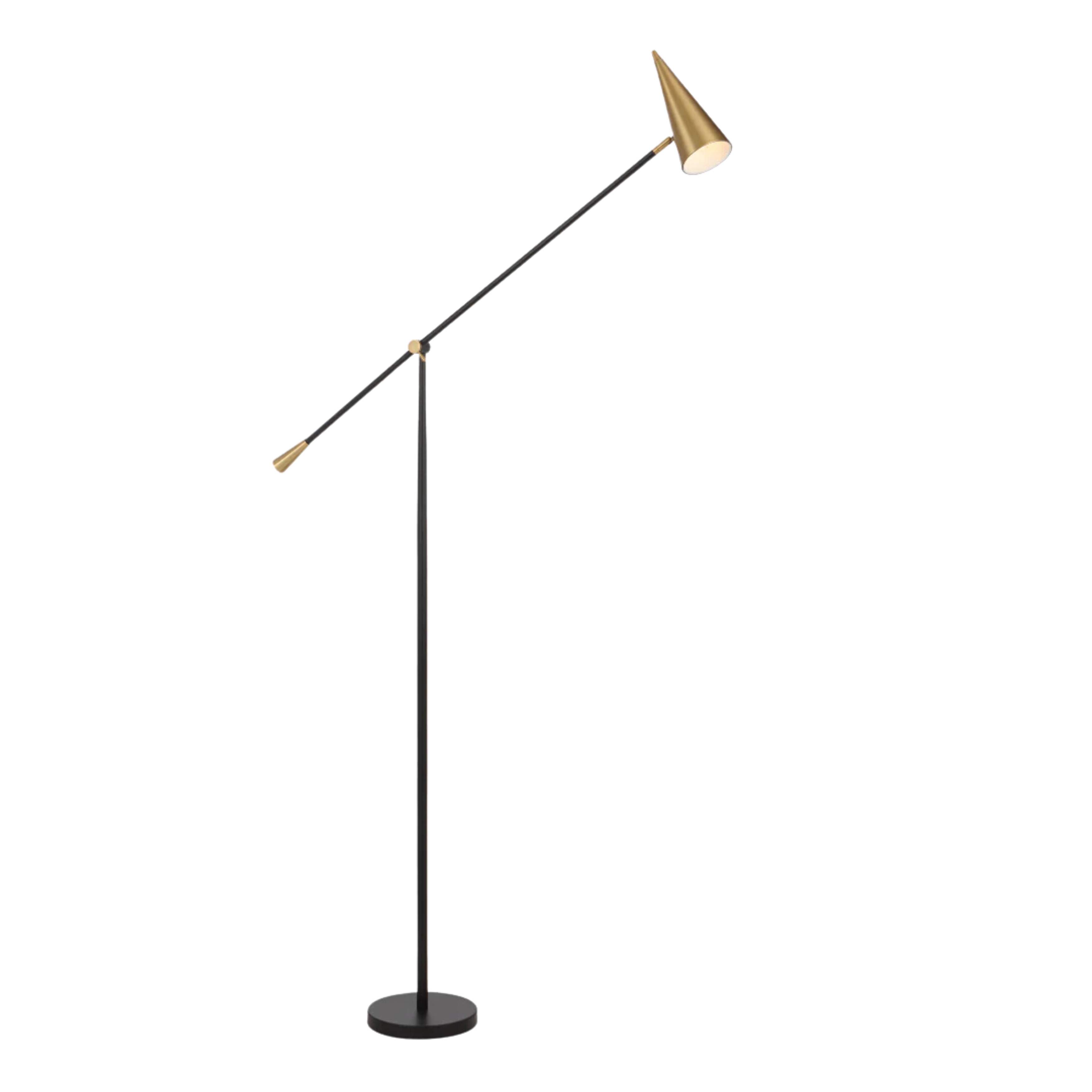 Jamina Black Brass Contemporary Floor Lamp