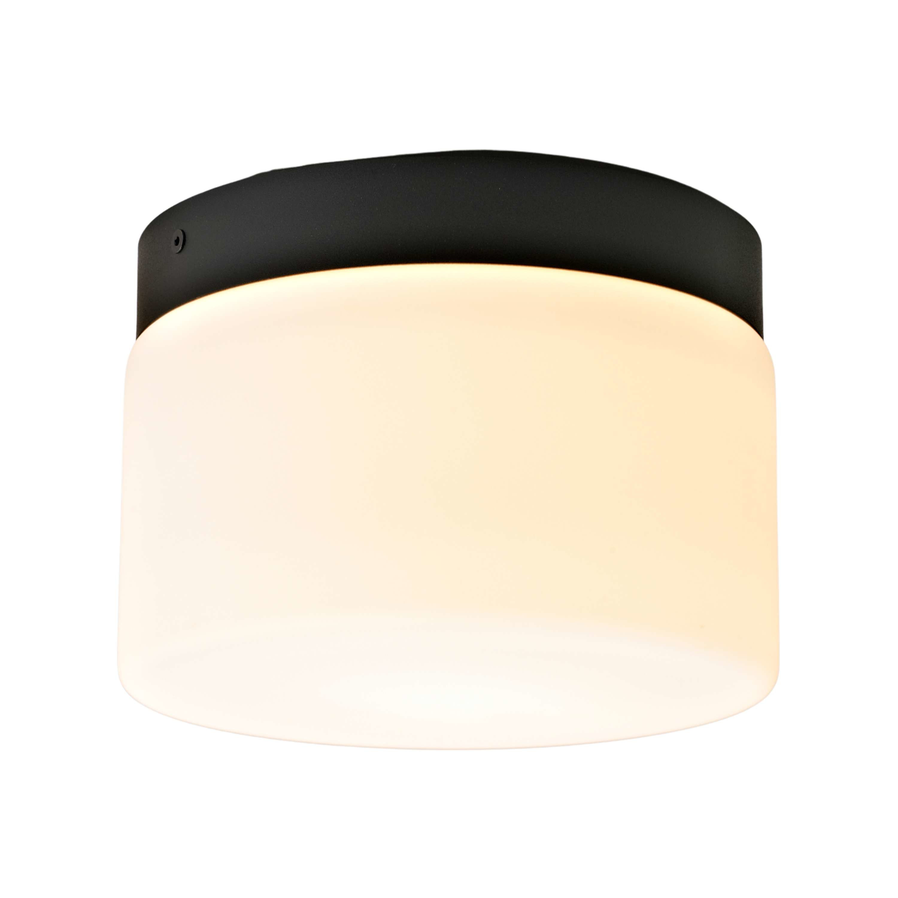 Orica Black Bathroom LED Wall and Ceiling Light