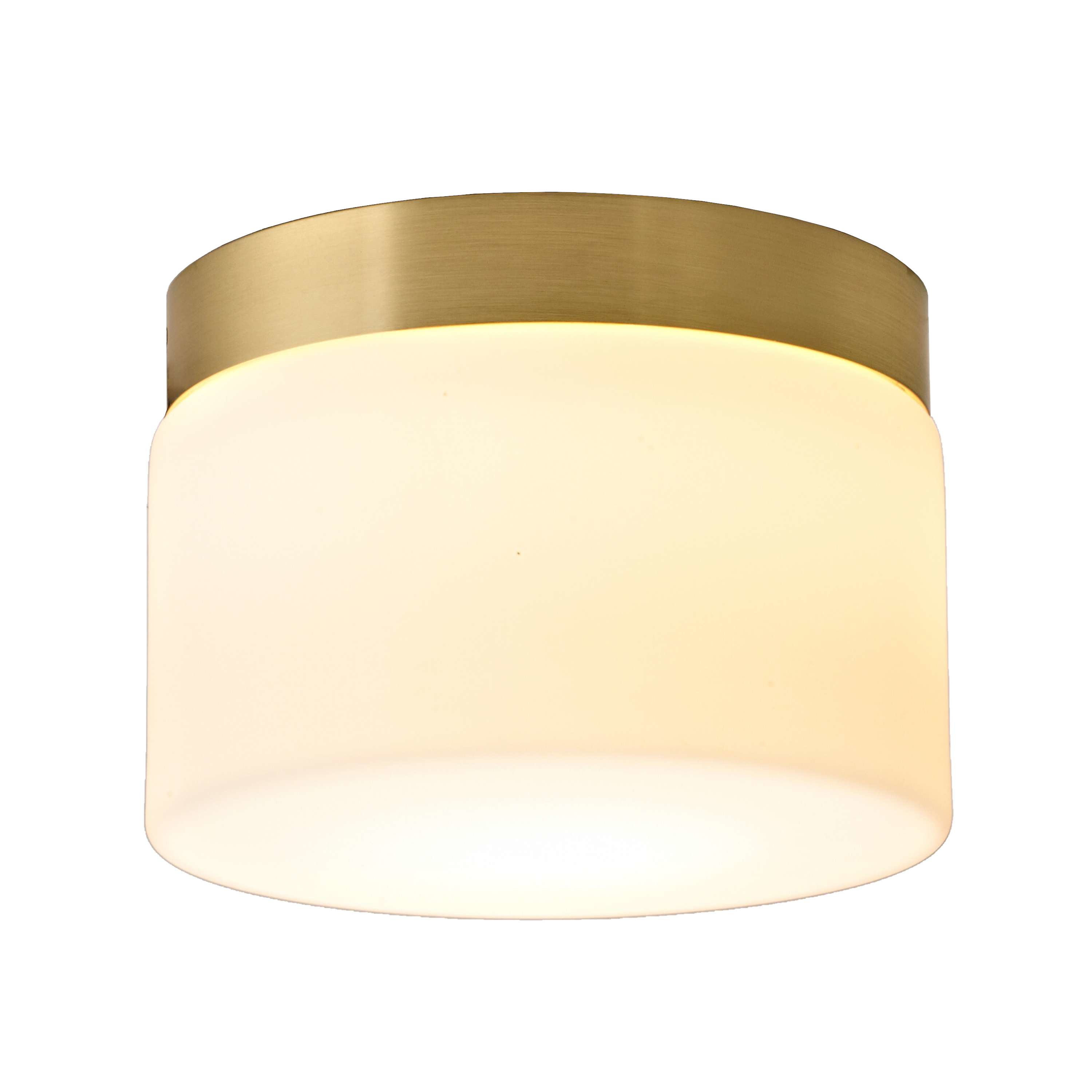 Orica Brass Bathroom LED Wall and Ceiling Light
