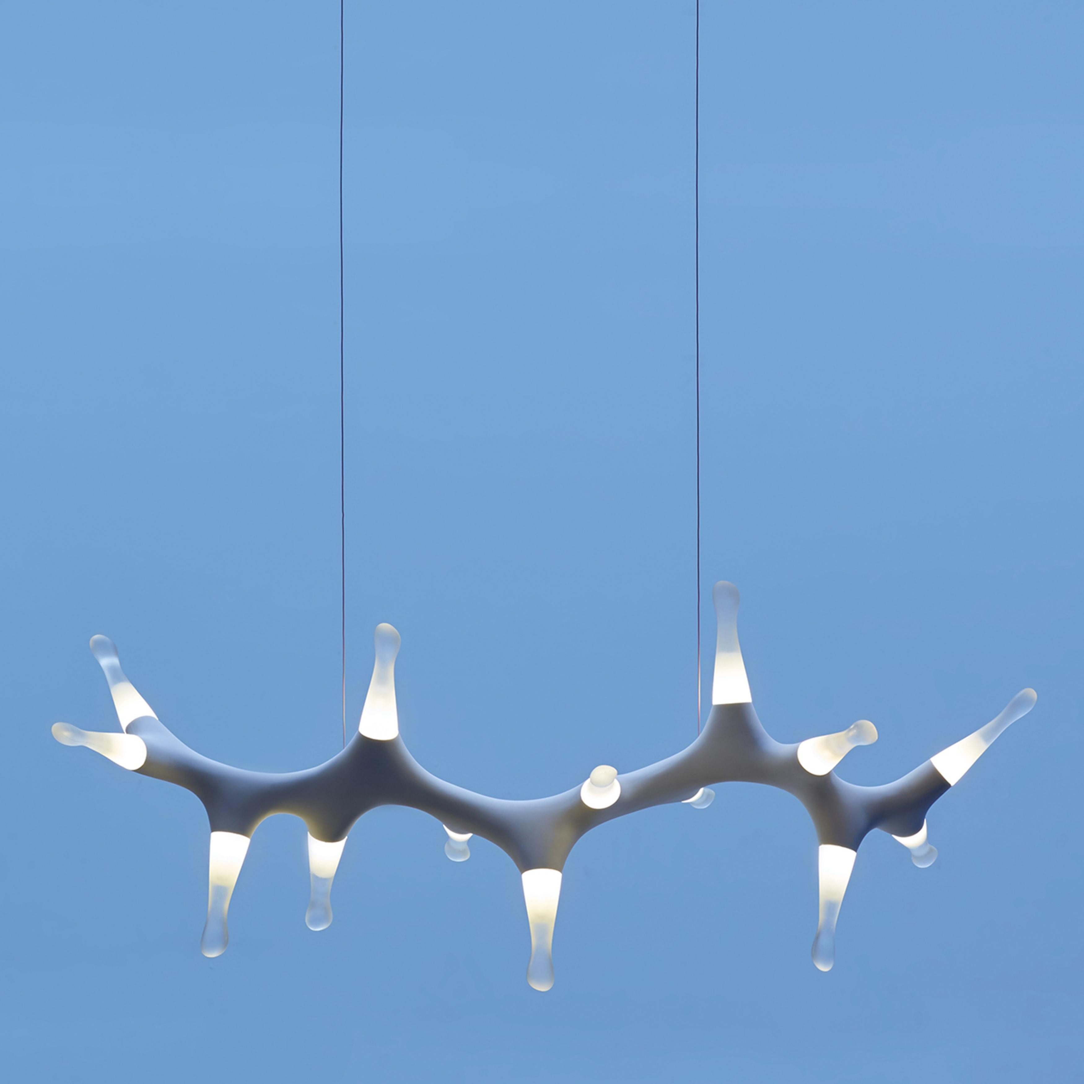 Leafy Sea Dragon Horizontal Pendant Light
