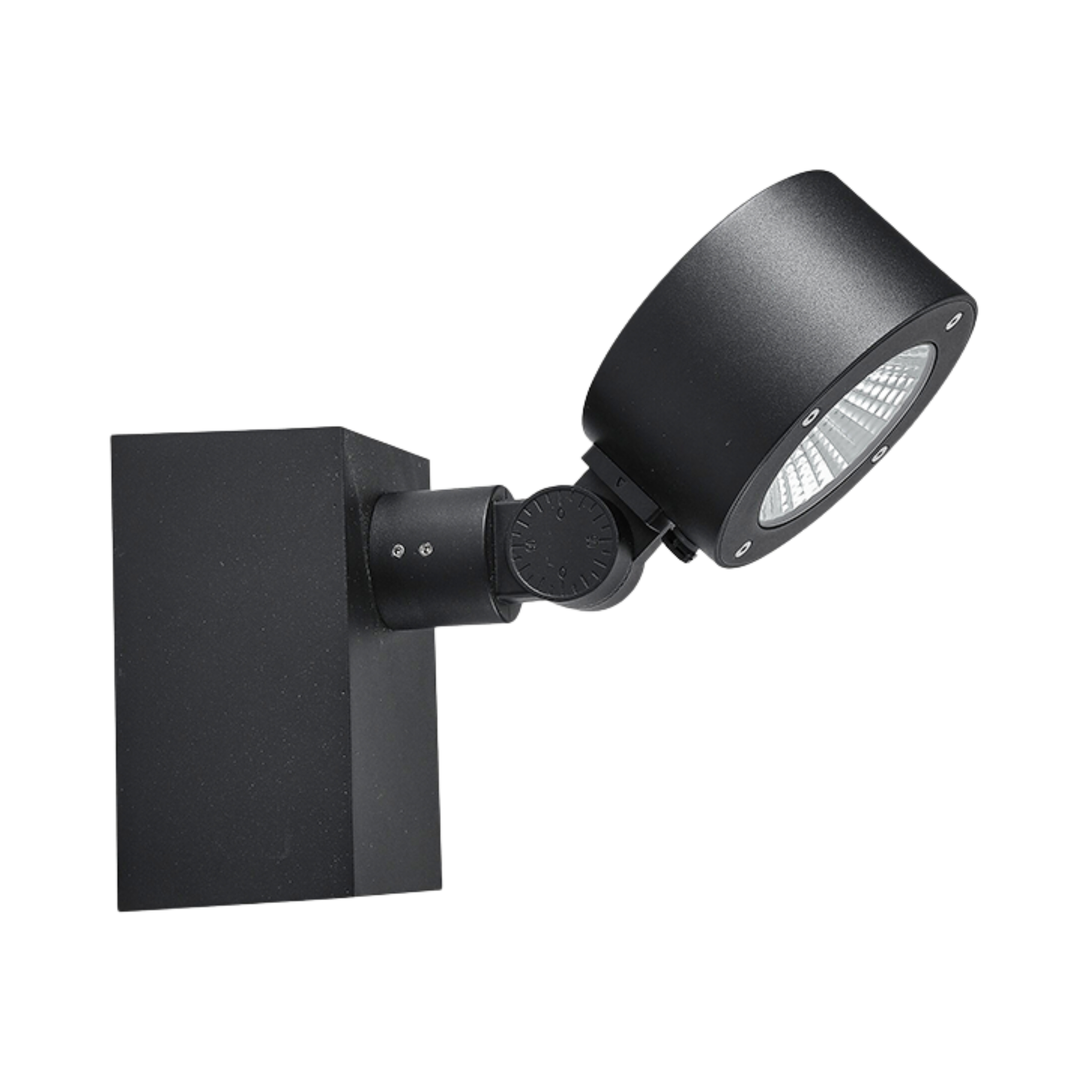Naomi Black LED Weatherproof Wall Light