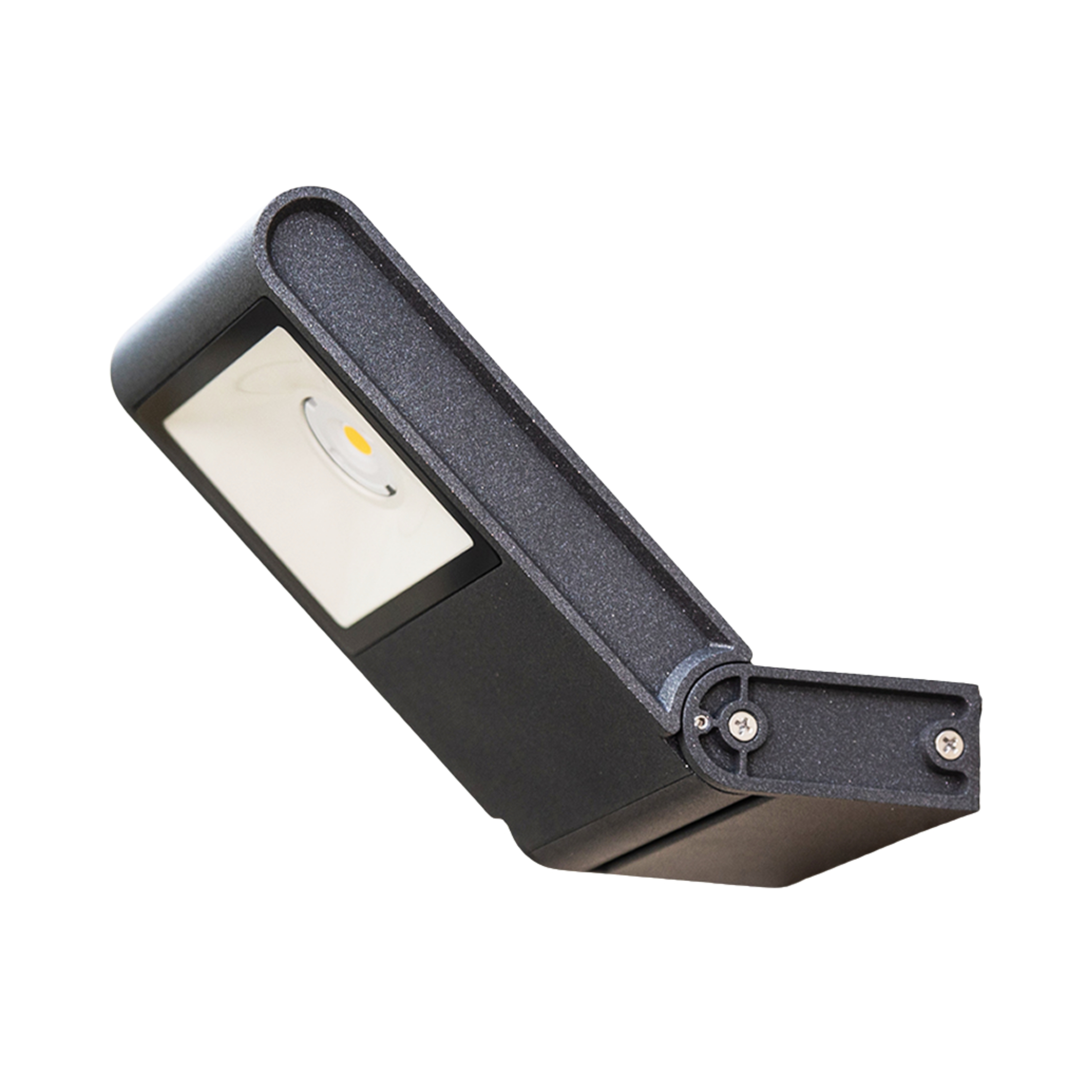 Eliana Black LED Exterior Wall Light